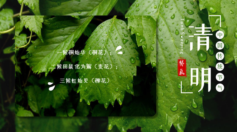 1553650606249369.jpg 清明3